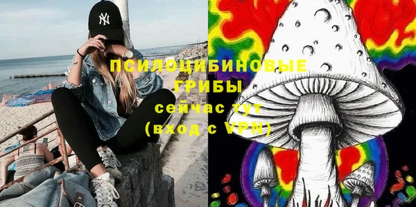 сатива Алзамай