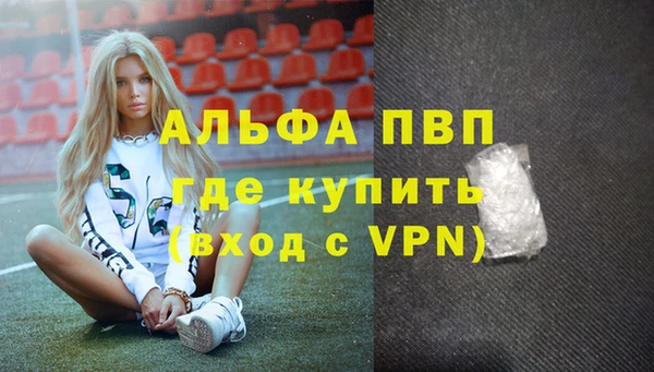 сатива Алзамай