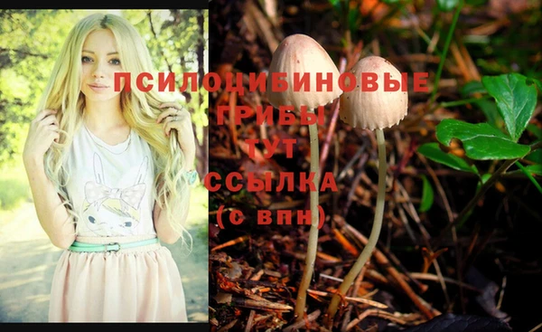 Альфа ПВП Армянск