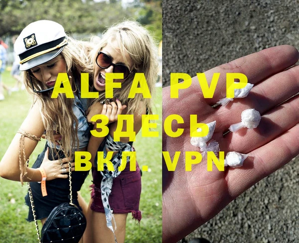 шишки Арсеньев