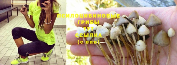 Альфа ПВП Алексеевка