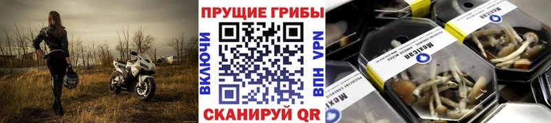 Псилоцибиновые грибы прущие грибы  где продают   Новороссийск 